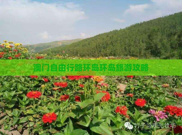 澳门自由行路环岛环岛旅游攻略