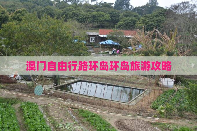 澳门自由行路环岛环岛旅游攻略