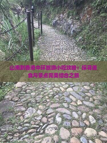 山南到香港中环旅游小吃攻略：探寻美食与景点完美结合之旅
