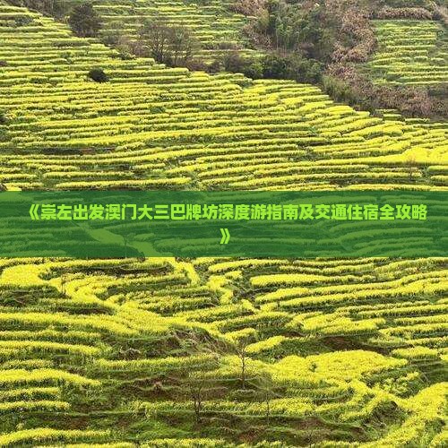 《崇左出发澳门大三巴牌坊深度游指南及交通住宿全攻略》