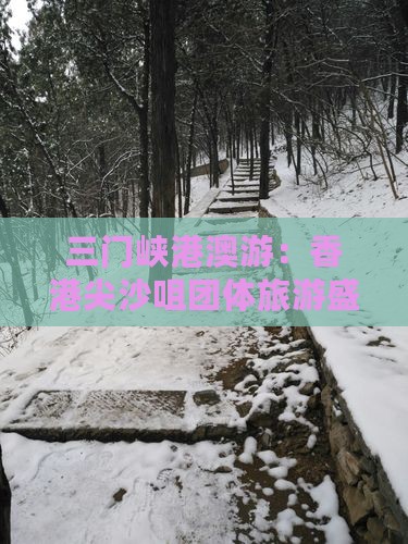 三门峡港澳游：香港尖沙咀团体旅游盛宴