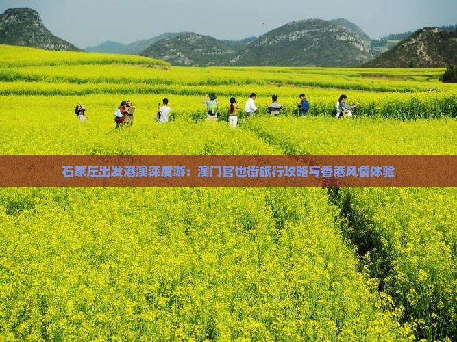 石家庄出发港澳深度游：澳门官也街旅行攻略与香港风情体验