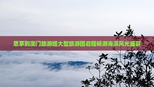 思茅到澳门旅游塔大型旅游团启程畅游海滨风光盛宴