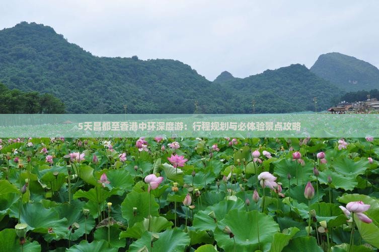 5天昌都至香港中环深度游：行程规划与必体验景点攻略