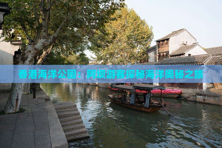 香港海洋公园：阿坝游客探秘海洋奥秘之旅