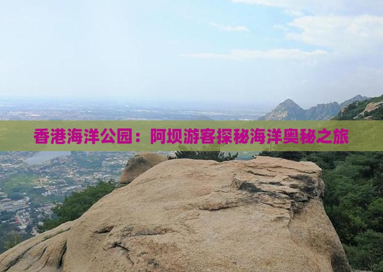 香港海洋公园：阿坝游客探秘海洋奥秘之旅