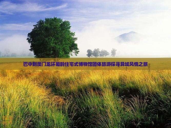 巴中到澳门龙环葡韵住宅式博物馆团体旅游探寻异域风情之旅