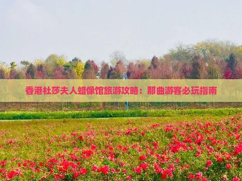 香港杜莎夫人蜡像馆旅游攻略：那曲游客必玩指南