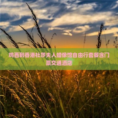 鸡西到香港杜莎夫人蜡像馆自由行套餐含门票交通酒店