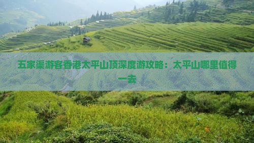 五家渠游客香港太平山顶深度游攻略：太平山哪里值得一去