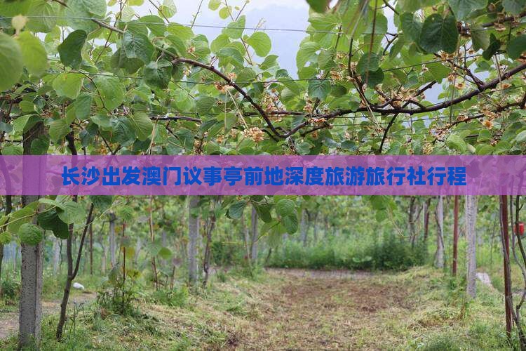 长沙出发澳门议事亭前地深度旅游旅行社行程