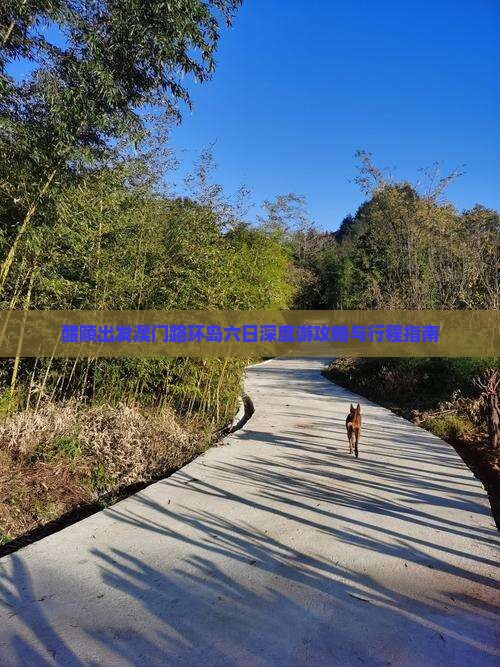 醴陵出发澳门路环岛六日深度游攻略与行程指南 醴陵出发澳门路环岛六日深度游攻略与行程指南