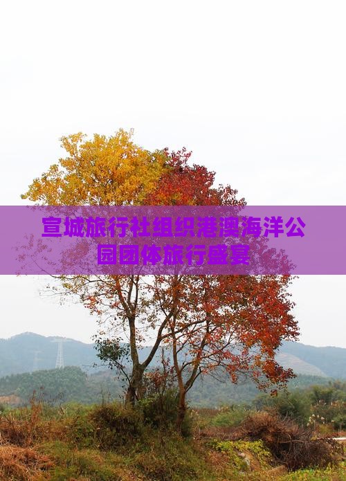 宣城旅行社组织港澳海洋公园团体旅行盛宴 宣城旅行社组织港澳海洋公园团体旅行盛宴