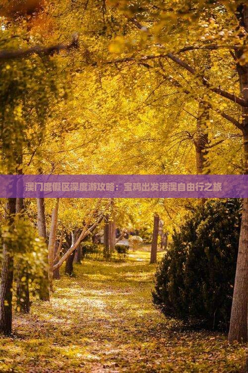 澳门度假区深度游攻略：宝鸡出发港澳自由行之旅