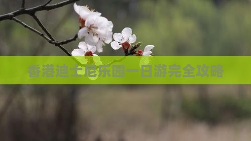 香港迪士尼乐园一日游完全攻略