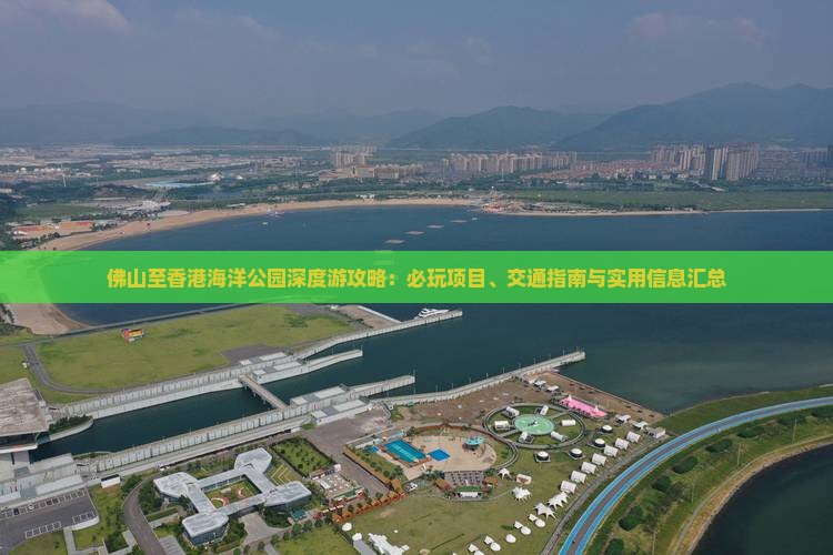佛山至香港海洋公园深度游攻略：必玩项目、交通指南与实用信息汇总