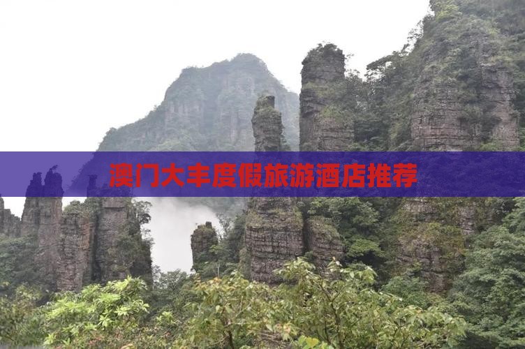 澳门大丰度假旅游酒店推荐