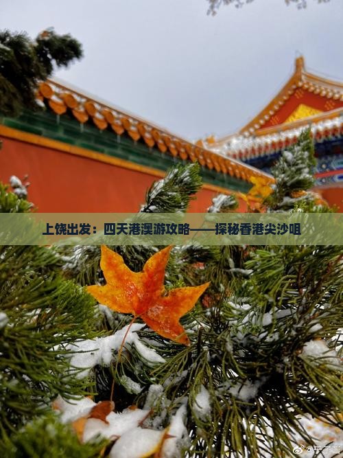 上饶出发：四天港澳游攻略——探秘香港尖沙咀