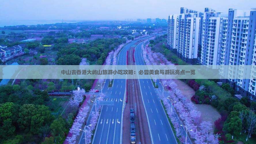 中山去香港大屿山旅游小吃攻略：必尝美食与游玩亮点一览