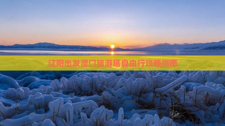 辽阳出发澳门旅游塔自由行攻略指南