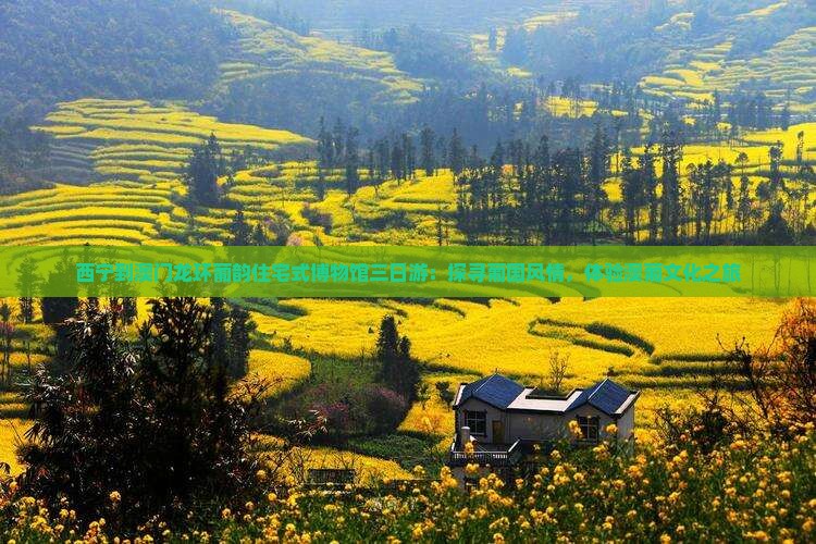 西宁到澳门龙环葡韵住宅式博物馆三日游：探寻葡国风情，体验澳葡文化之旅