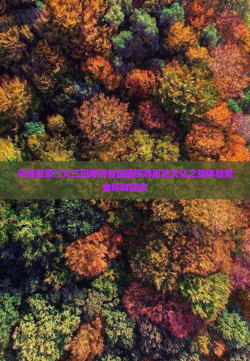 乌海去澳门大三巴牌坊自由团探寻历史文化之旅体验美食购物狂欢