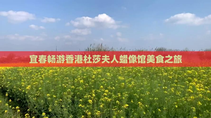 宜春畅游香港杜莎夫人蜡像馆美食之旅