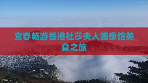 宜春畅游香港杜莎夫人蜡像馆美食之旅