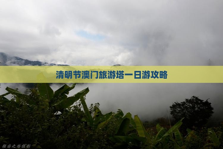 清明节澳门旅游塔一日游攻略