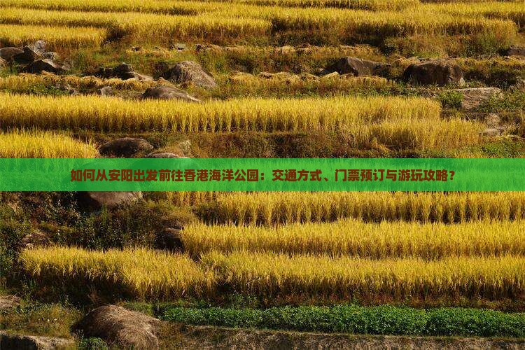 如何从安阳出发前往香港海洋公园：交通方式、门票预订与游玩攻略？