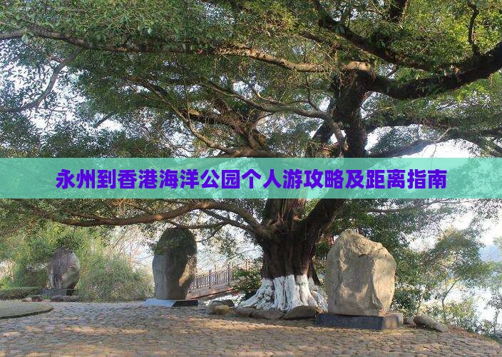 永州到香港海洋公园个人游攻略及距离指南