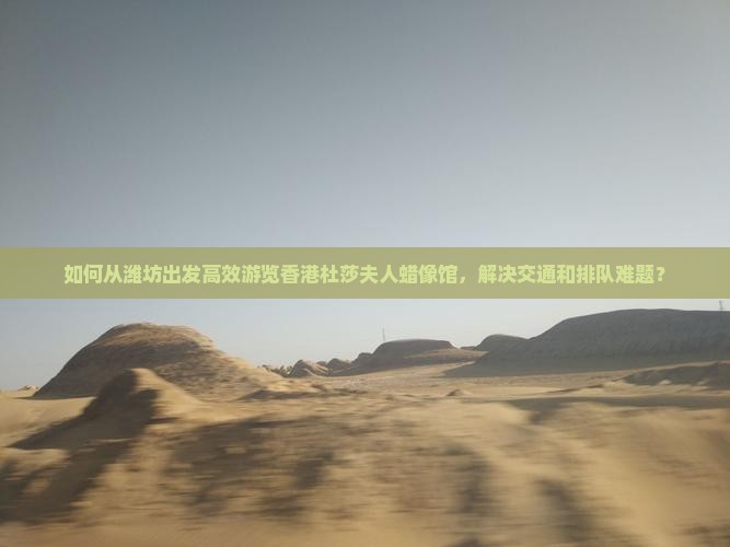 如何从潍坊出发高效游览香港杜莎夫人蜡像馆，解决交通和排队难题？