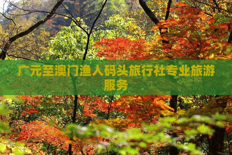 广元至澳门渔人码头旅行社专业旅游服务