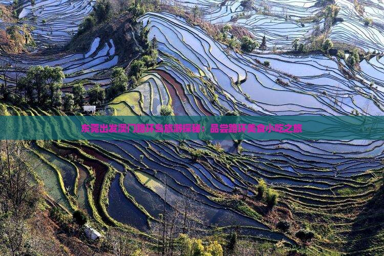 东莞出发澳门路环岛旅游探秘：品尝路环美食小吃之旅