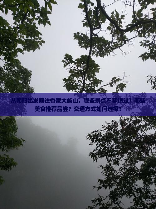 从朝阳出发前往香港大屿山，哪些景点不容错过？哪些美食推荐品尝？交通方式如何选择？
