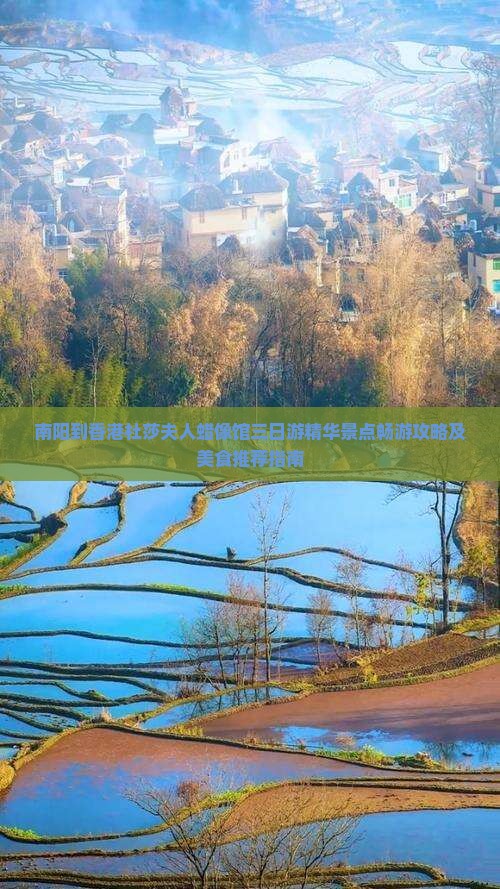 南阳到香港杜莎夫人蜡像馆三日游精华景点畅游攻略及美食推荐指南