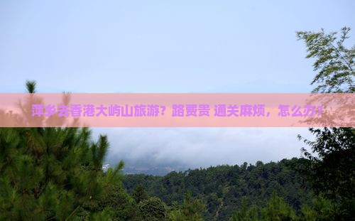 萍乡去香港大屿山旅游？路费贵+通关麻烦，怎么办？