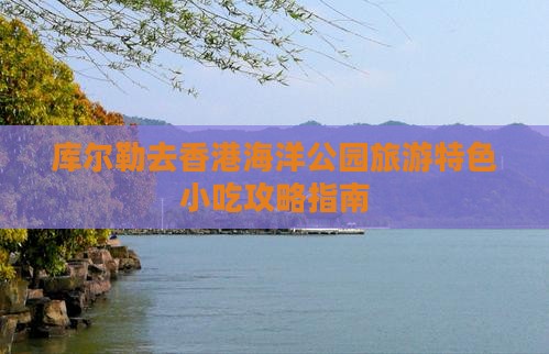 库尔勒去香港海洋公园旅游特色小吃攻略指南