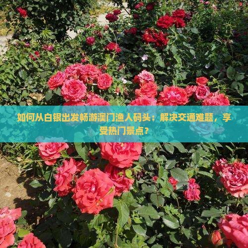 如何从白银出发畅游澳门渔人码头：解决交通难题，享受热门景点？