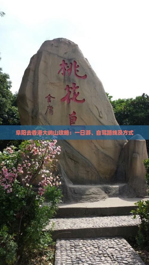 阜阳去香港大屿山攻略：一日游、自驾路线及方式