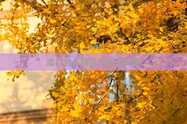 澳门渔人码头节旅游攻略