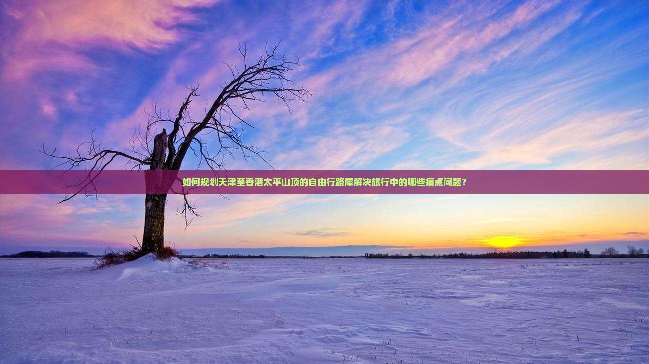 如何规划天津至香港太平山顶的自由行路犀解决旅行中的哪些痛点问题？