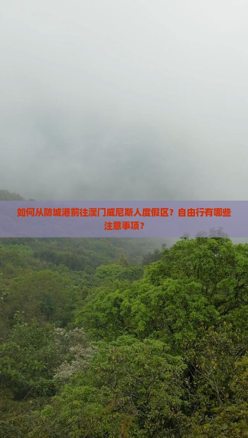 如何从防城港前往澳门威尼斯人度假区？自由行有哪些注意事项？