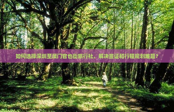 如何选择深圳至澳门官也街旅行社，解决签证和行程规划难题？