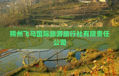 朔州飞马国际旅游旅行社有限责任公司