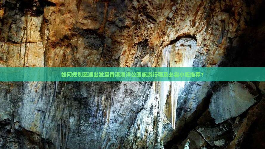 如何规划芜湖出发至香港海洋公园旅游行程及必尝小吃推荐？