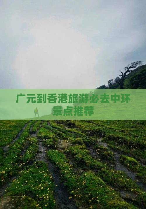 广元到香港旅游必去中环景点推荐