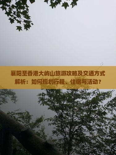 襄阳至香港大屿山旅游攻略及交通方式解析：如何规划行程、住宿与活动？
