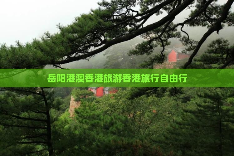 岳阳港澳香港旅游香港旅行自由行
