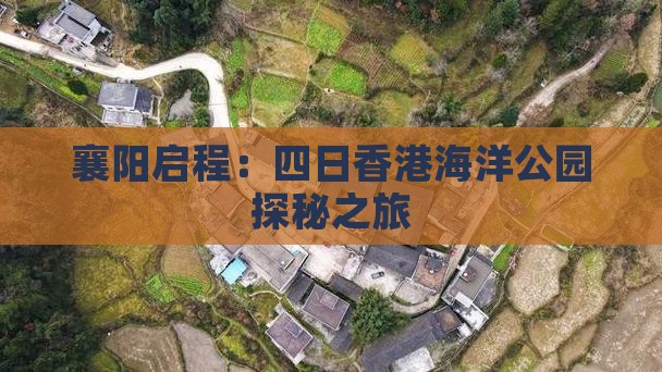 襄阳启程：四日香港海洋公园探秘之旅